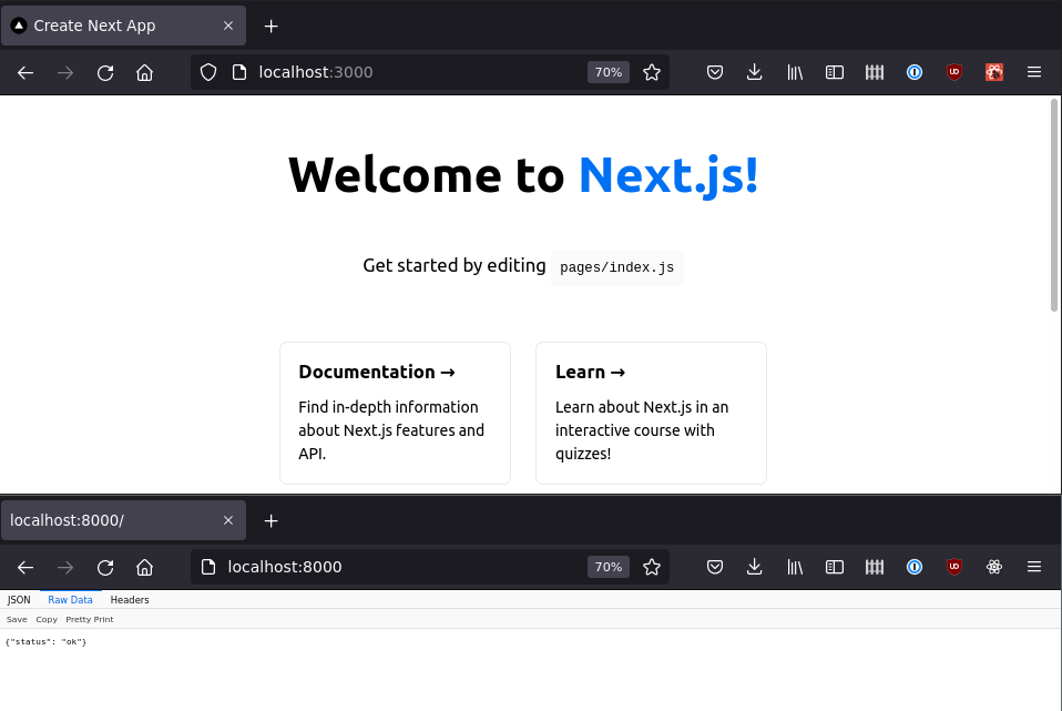 How to use NextJS with Golang